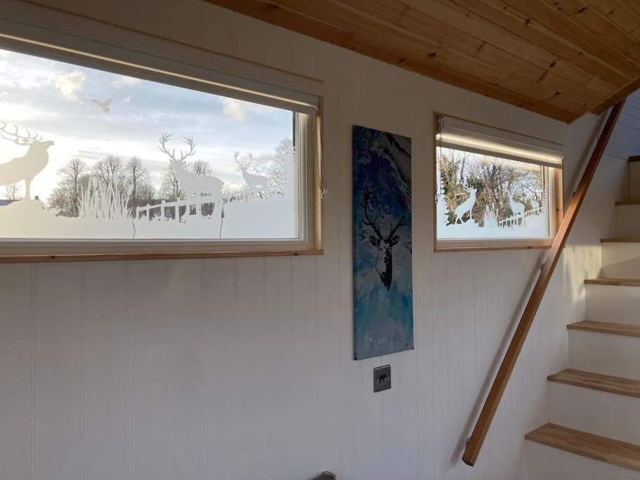 The Ashmere Tiny House Coldingham エクステリア 写真