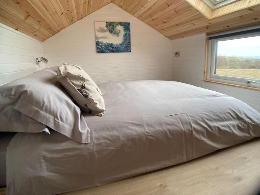 The Ashmere Tiny House Coldingham エクステリア 写真